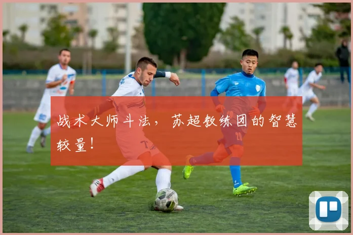 战术大师斗法,苏超教练团的智慧较量!