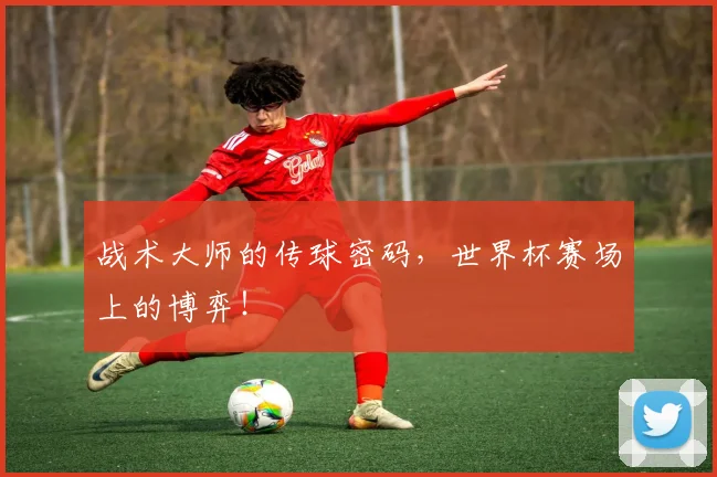 战术大师的传球密码,世界杯赛场上的博弈!