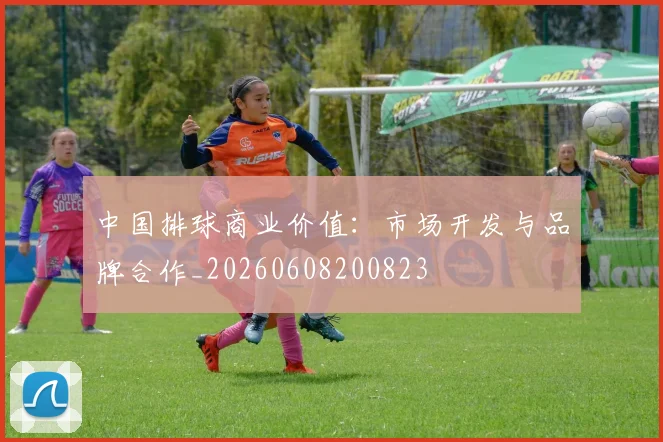 中国排球商业价值:市场开发与品牌合作_20260608200823